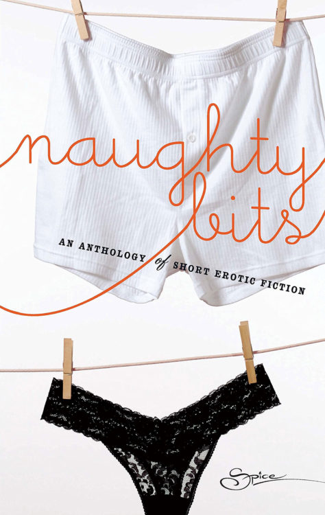 Naughty Bits Cover Art
