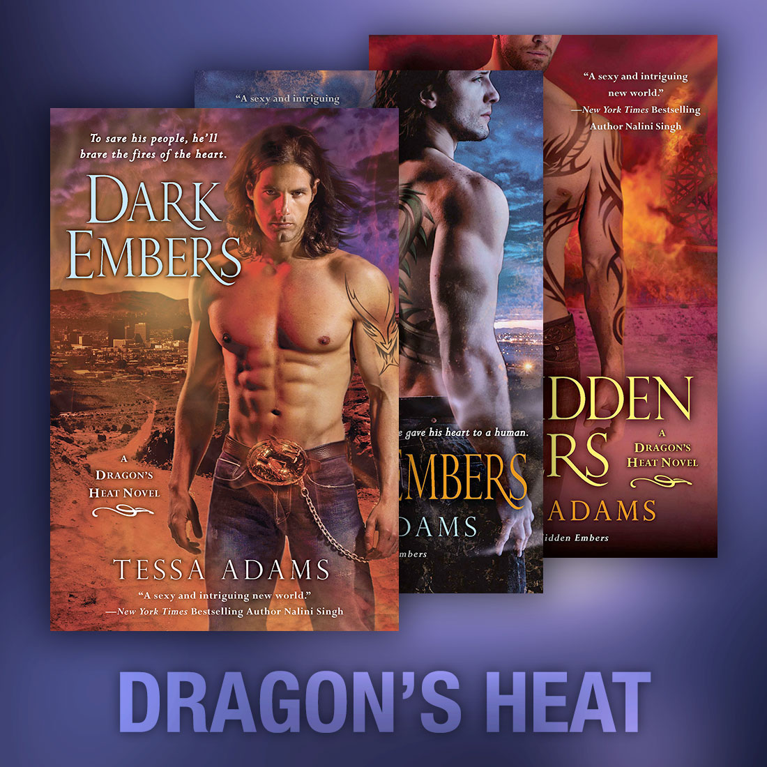 The Dragon's Heat Series